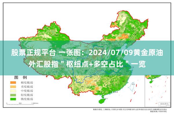 股票正规平台 一张图：2024/07/09黄金原油外汇股指＂枢纽点+多空占比＂一览