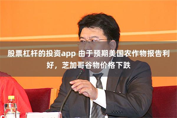 股票杠杆的投资app 由于预期美国农作物报告利好，芝加哥谷物价格下跌