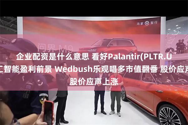 企业配资是什么意思 看好Palantir(PLTR.US)人工智能盈利前景 Wedbush乐观唱多市值翻番 股价应声上涨