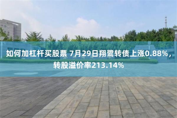 如何加杠杆买股票 7月29日翔鹭转债上涨0.88%，转股溢价率213.14%