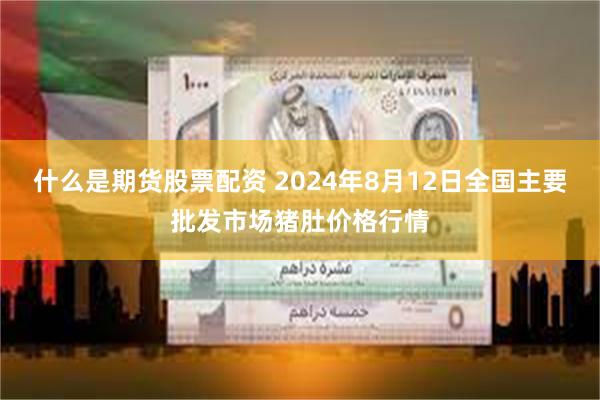 什么是期货股票配资 2024年8月12日全国主要批发市场猪肚价格行情