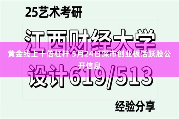 黄金线上十倍杠杆 5月24日深市创业板活跃股公开信息