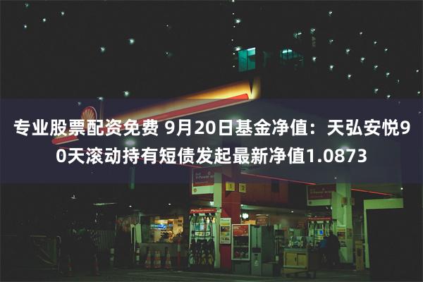 专业股票配资免费 9月20日基金净值：天弘安悦90天滚动持有短债发起最新净值1.0873