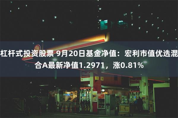 杠杆式投资股票 9月20日基金净值：宏利市值优选混合A最新净值1.2971，涨0.81%