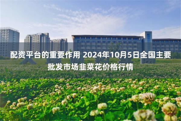 配资平台的重要作用 2024年10月5日全国主要批发市场韭菜花价格行情