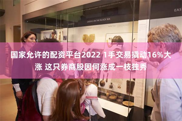 国家允许的配资平台2022 1手交易撬动16%大涨 这只券商股因何涨成一枝独秀