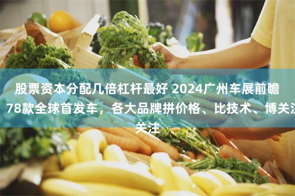 股票资本分配几倍杠杆最好 2024广州车展前瞻：78款全球首发车，各大品牌拼价格、比技术、博关注