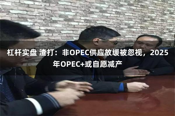 杠杆实盘 渣打：非OPEC供应放缓被忽视，2025年OPEC+或自愿减产