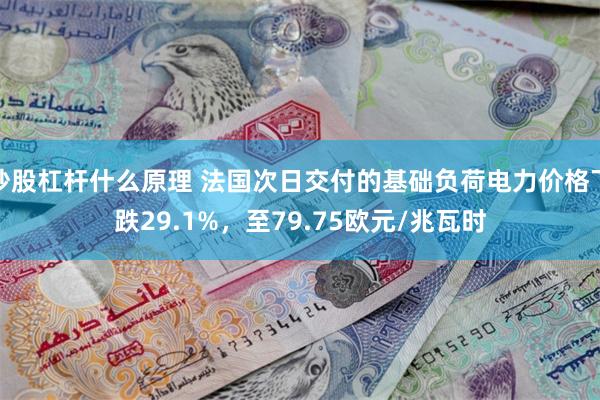 炒股杠杆什么原理 法国次日交付的基础负荷电力价格下跌29.1%，至79.75欧元/兆瓦时