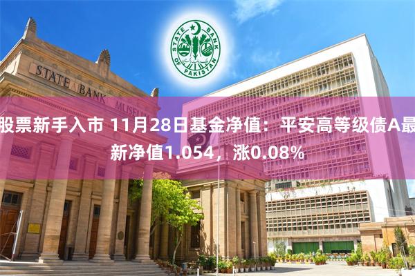 股票新手入市 11月28日基金净值：平安高等级债A最新净值1.054，涨0.08%