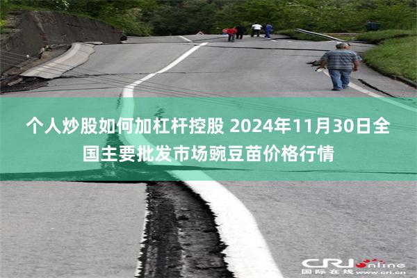 个人炒股如何加杠杆控股 2024年11月30日全国主要批发市场豌豆苗价格行情