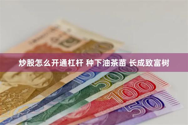 炒股怎么开通杠杆 种下油茶苗 长成致富树