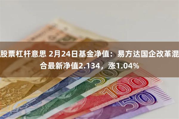 股票杠杆意思 2月24日基金净值：易方达国企改革混合最新净值2.134，涨1.04%